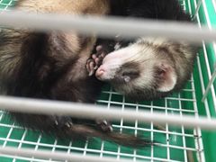 -乐宠宠物店(世纪金源店)