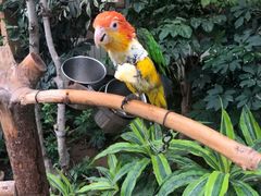 -南宫五洲植物乐园