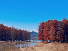 -四明湖