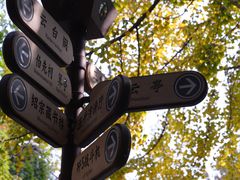 -伯先公园