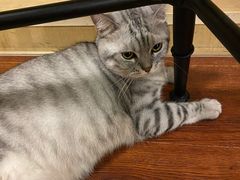 -H立方实景剧情密室(天河旗舰店)