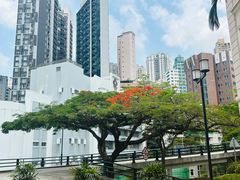 -香港大学