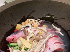 -鲜潭蒸汽石锅鱼(五道口购物中心店)