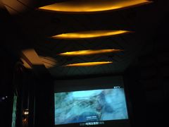 -碧涛阁·泡泡海洋·汤泉洗浴(王府花园店)