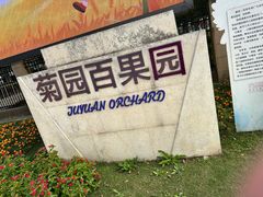 -菊园百果园