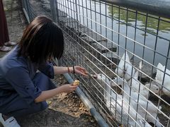 -上海海湾国家森林公园