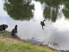 -长春世界雕塑园冰雪艺术天地