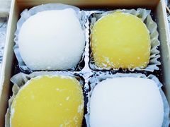 -卡滋贝诺动物奶油生日蛋糕(常熟万达店)