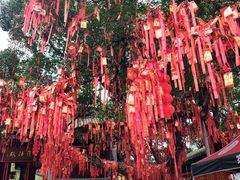 -国恩寺
