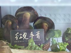 -爱膳菌锅锅(阳南店)