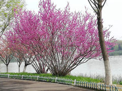 -云龙湖旅游景区