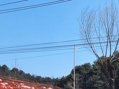 -龙福源密云水库灶台鱼