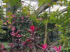 -呀路古热带植物园