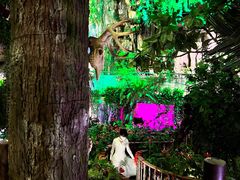 -正佳雨林生态植物园
