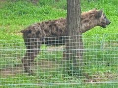 -秦皇岛野生动物园