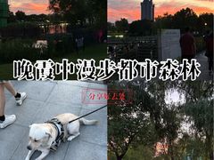 -灵秀公园