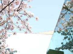 -龙美术馆(西岸馆)