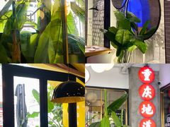 -雾都渣渣火锅(南城智汇城店)