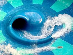 -水立方嬉水乐园