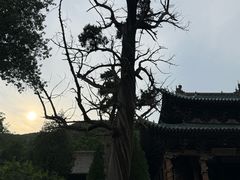 -晋祠公园