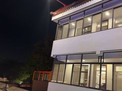 -大队长大灶鹅