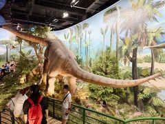 -陕西自然博物馆