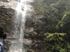 -九龙江国家森林公园