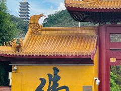 -大伊山景区