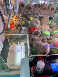 -莫莉幻想儿童乐园(北京昌发展万科店)