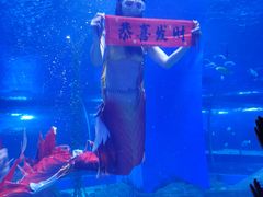 -顺德南宏海立方海洋公园