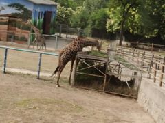 -西安秦岭野生动物园