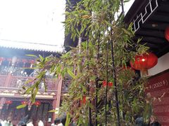 -上海白云观
