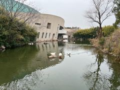 -新江湾城公园