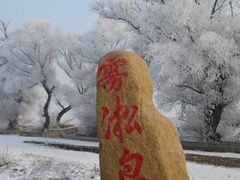 -雾凇岛
