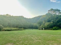 -南宁良凤江国家森林公园