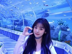 -石家庄极地海洋世界