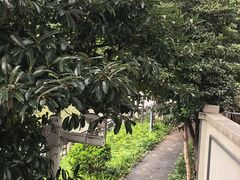 -南通濠河风景名胜区