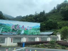 -灵光寺