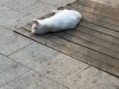 -五台山游泳馆