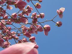 -大兴滨河森林公园