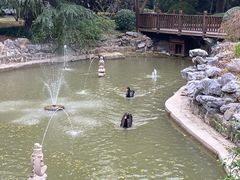 -上海虹桥迎宾馆