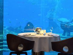 -亚特兰蒂斯•OSSIANO奥西亚诺海底餐厅