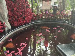 -东方华地城湿地温泉度假区