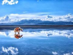 -盐湖景区