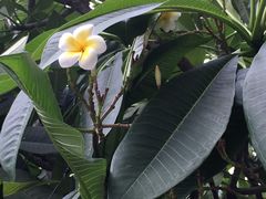 -广交会威斯汀酒店