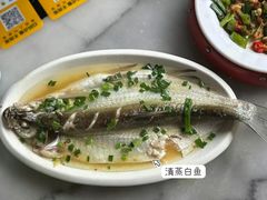 -京城小江南·北京烤鸭·江南土菜·白鱼(中关村店)