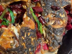 -老板恋上鱼(恒隆广场店)