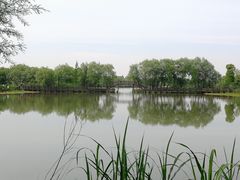 -长兴太湖图影湿地文化园