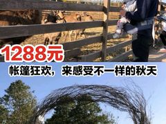 -安德鲁户外烧烤帐篷营地(马泉营店)