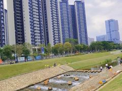 -光明小镇欢乐田园